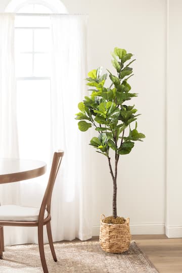 Kate and Laurel 6ft. Fidmont Faux Fiddle Fig Tree with Natural Planter